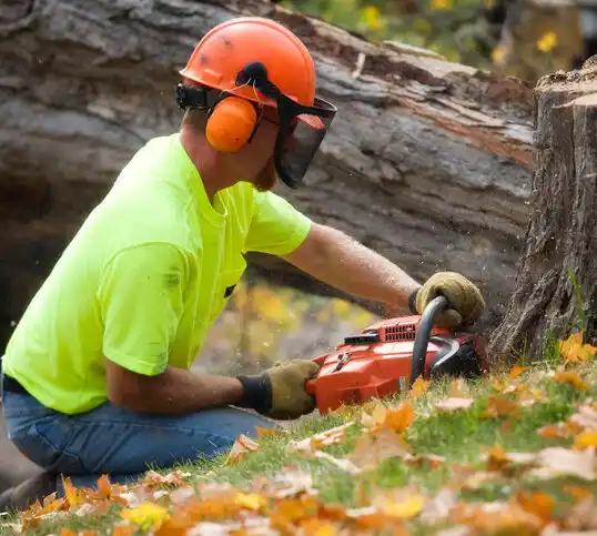 tree services Byrnes Mill